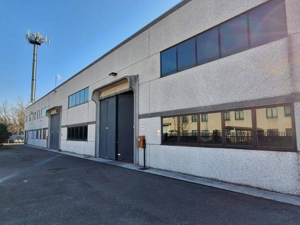 immagine annuncio 2 di 5