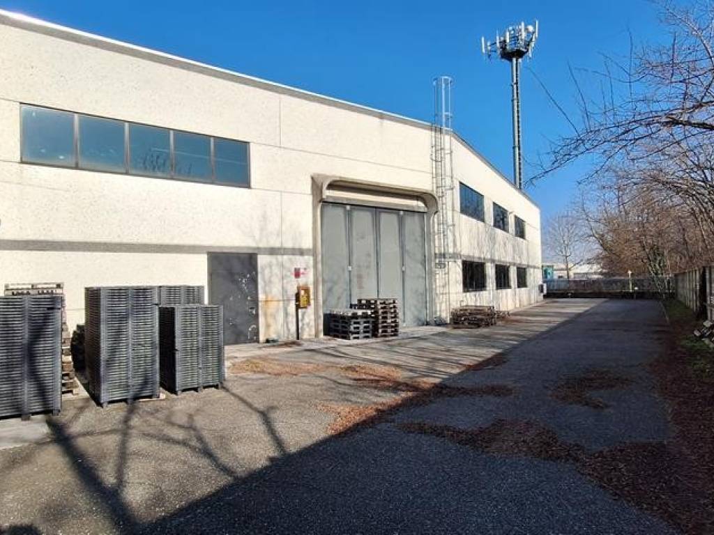 immagine annuncio 3 di 5