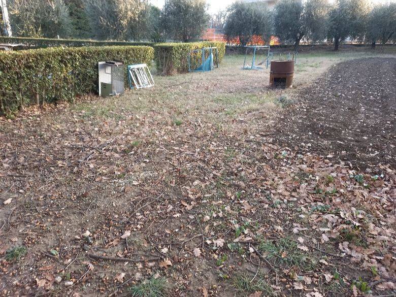 immagine annuncio 2 di 4