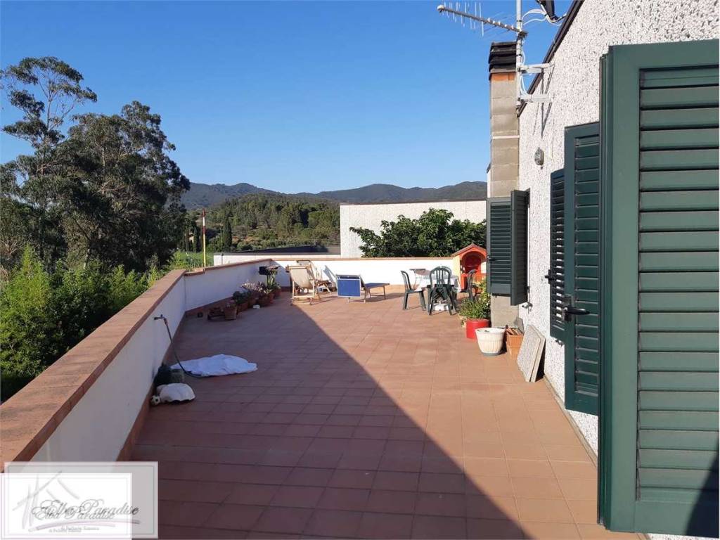 immagine annuncio 0 di 10