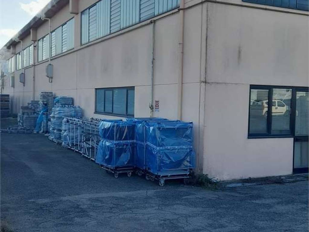 immagine annuncio 2 di 4
