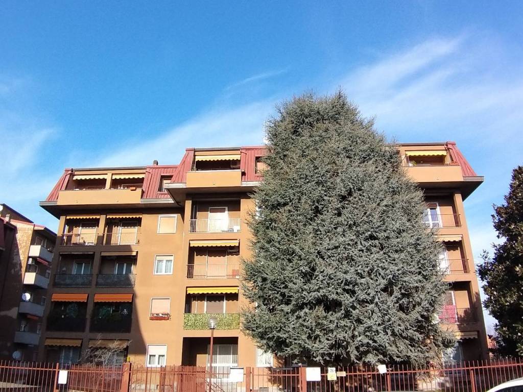 immagine annuncio 3 di 5