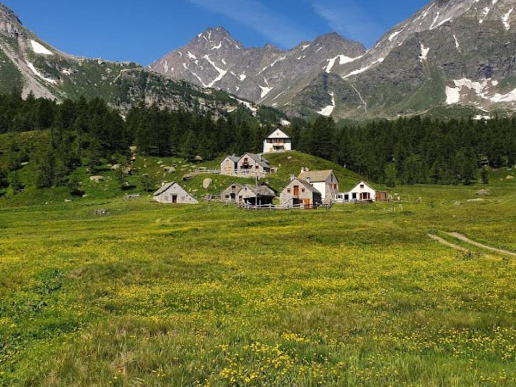 immagine annuncio 4 di 5