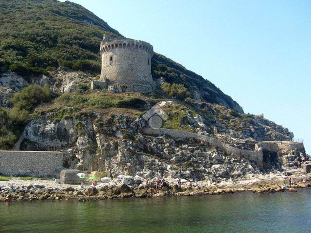 immagine annuncio 2 di 4