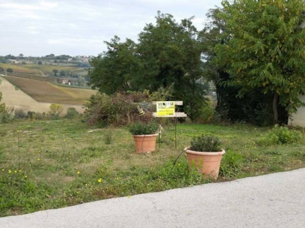 immagine annuncio 2 di 4