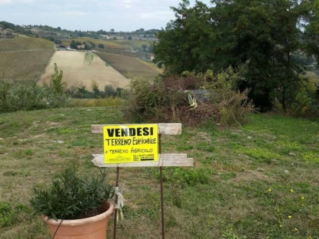 immagine annuncio 3 di 4