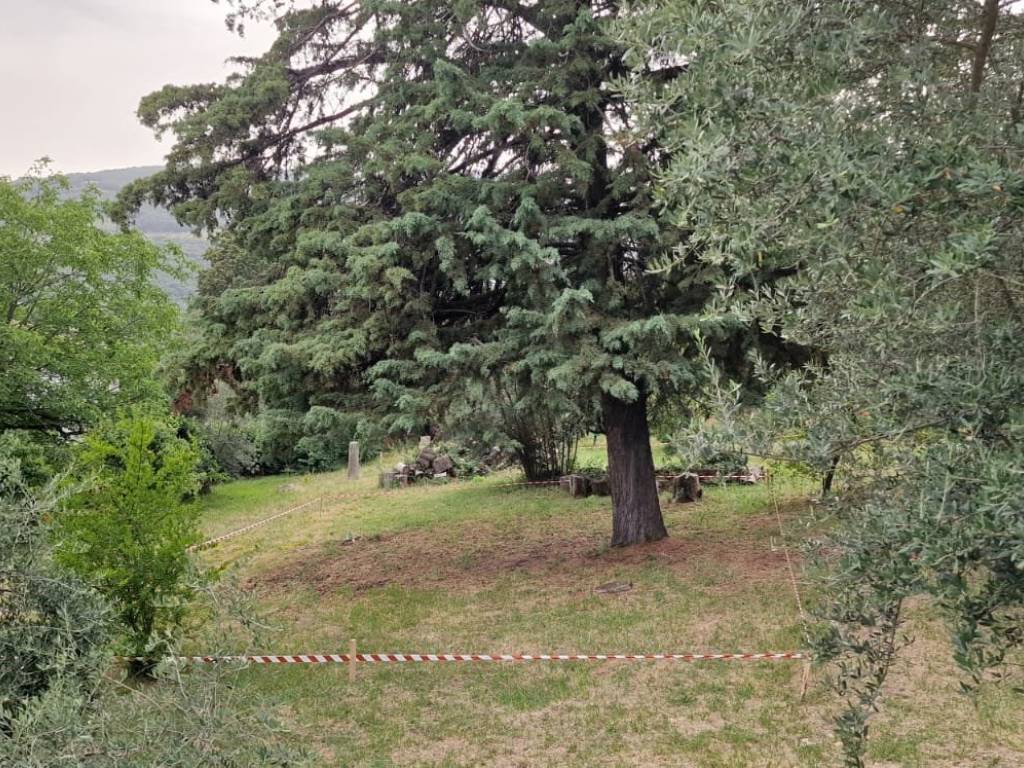 immagine annuncio 2 di 4