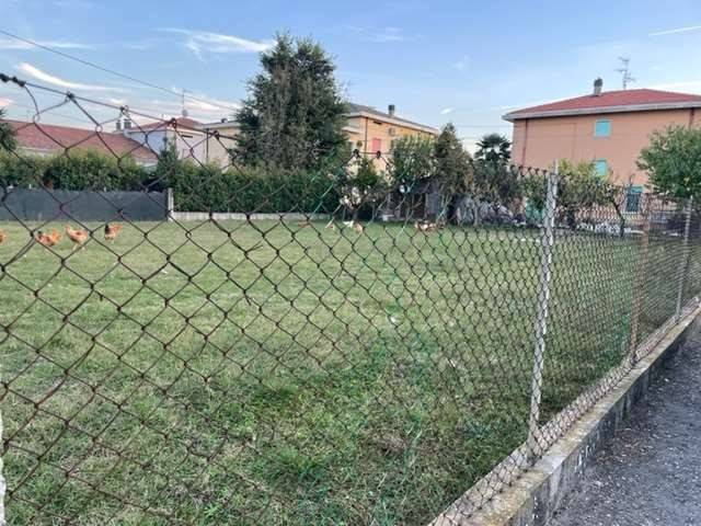 immagine annuncio 3 di 4