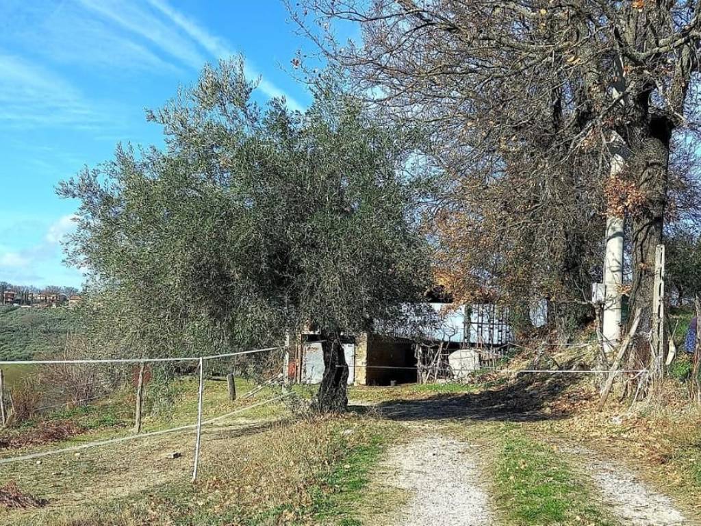 immagine annuncio 1 di 2
