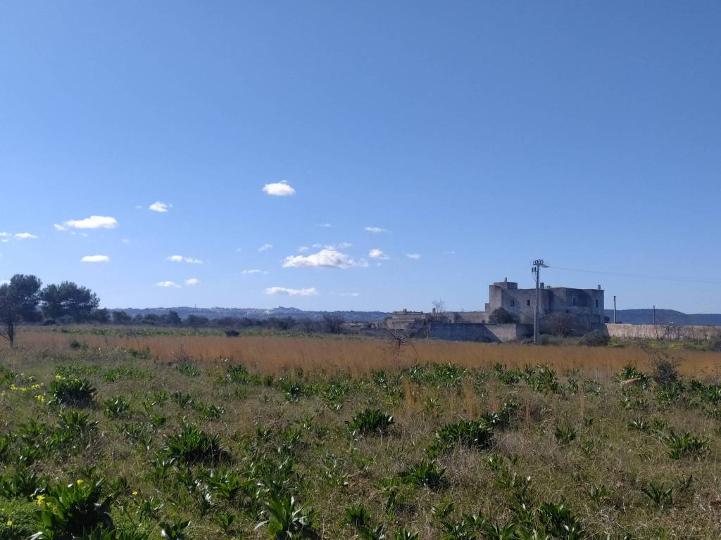 immagine annuncio 2 di 3