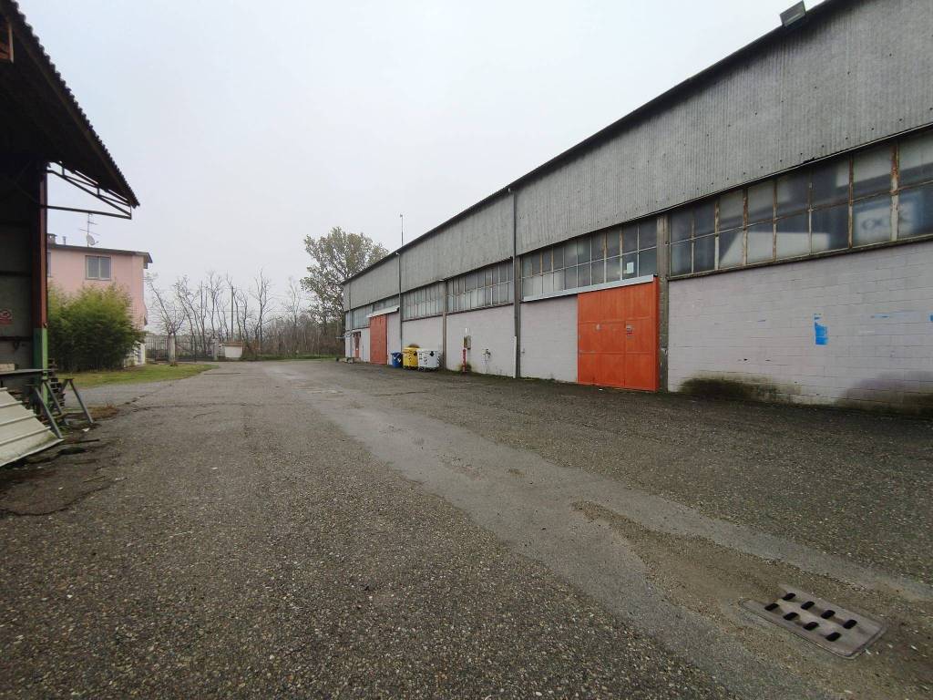 immagine annuncio 3 di 5