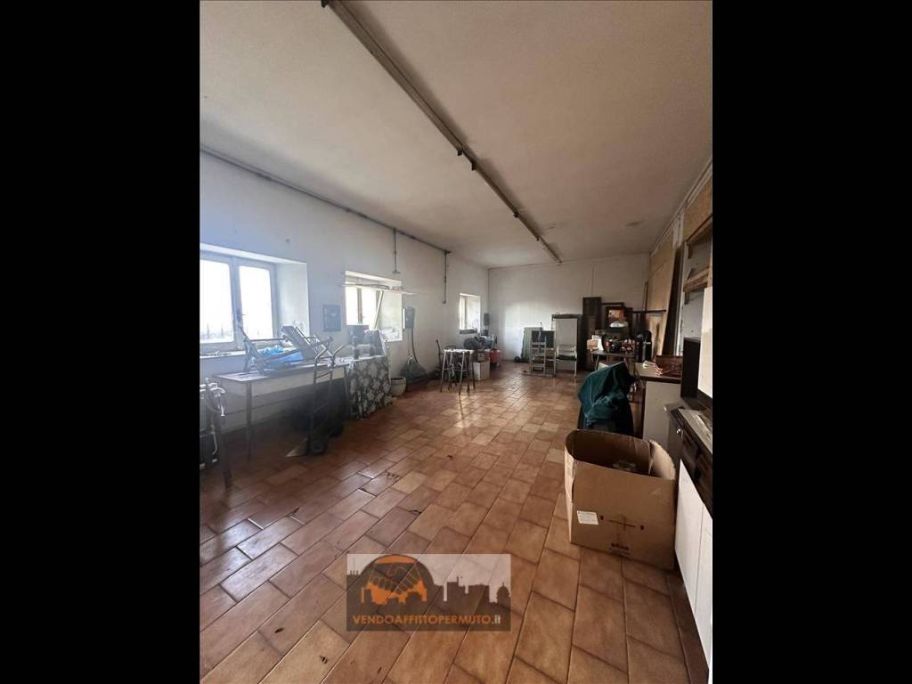 immagine annuncio 2 di 4
