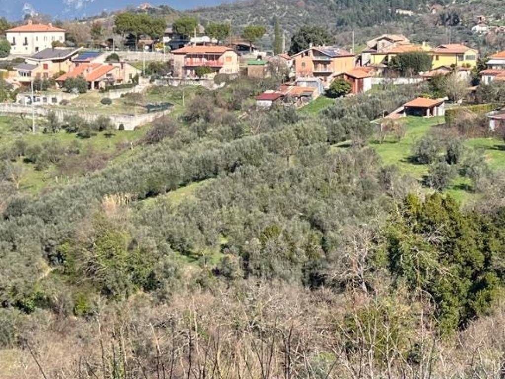 immagine annuncio 2 di 3