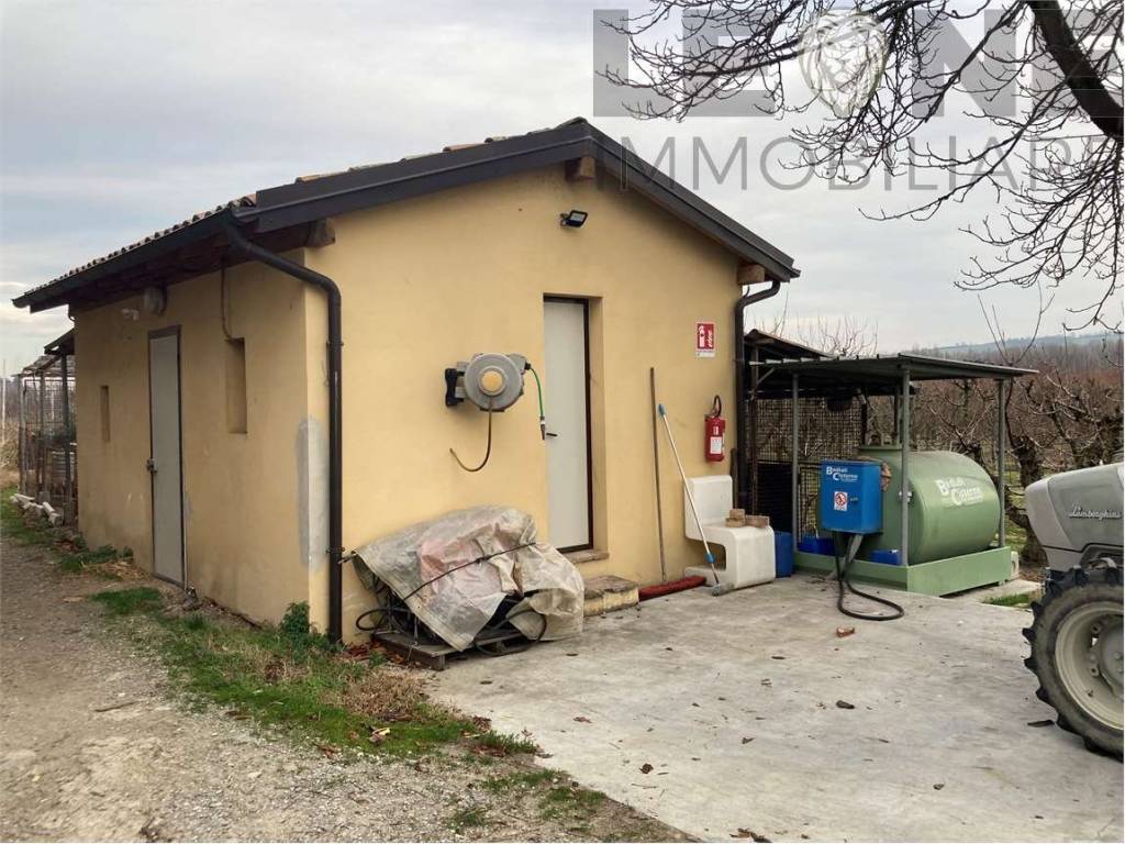 immagine annuncio 4 di 5