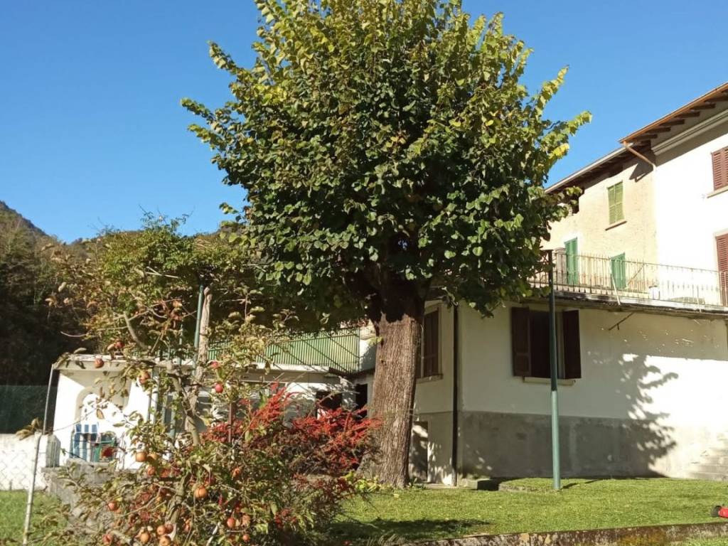immagine annuncio 3 di 4
