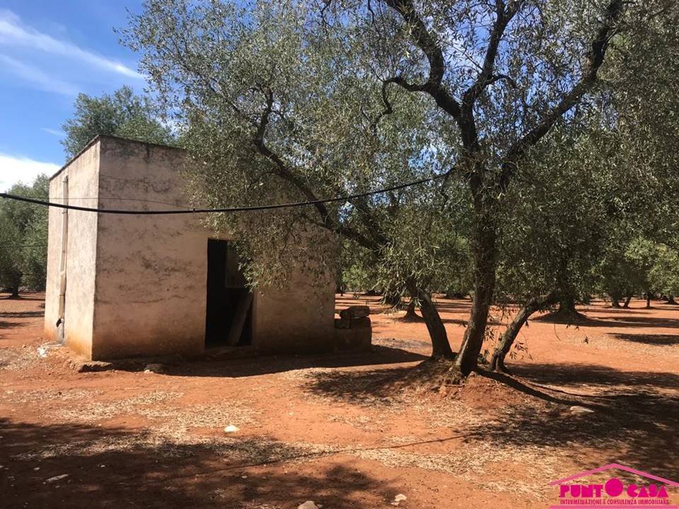 immagine annuncio 2 di 3