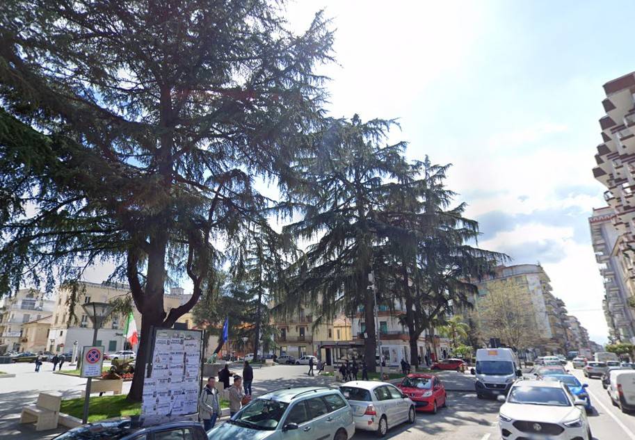 immagine annuncio 1 di 2