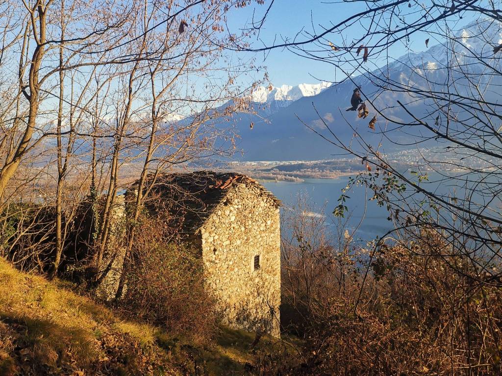 immagine annuncio 1 di 4