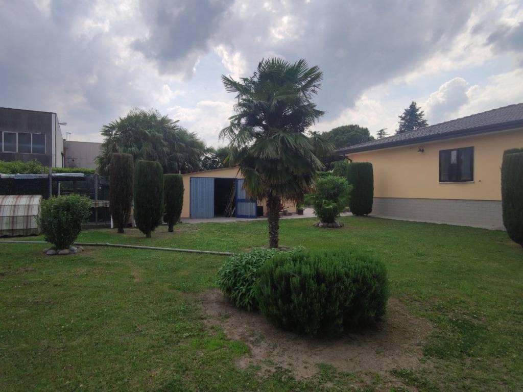 immagine annuncio 3 di 5