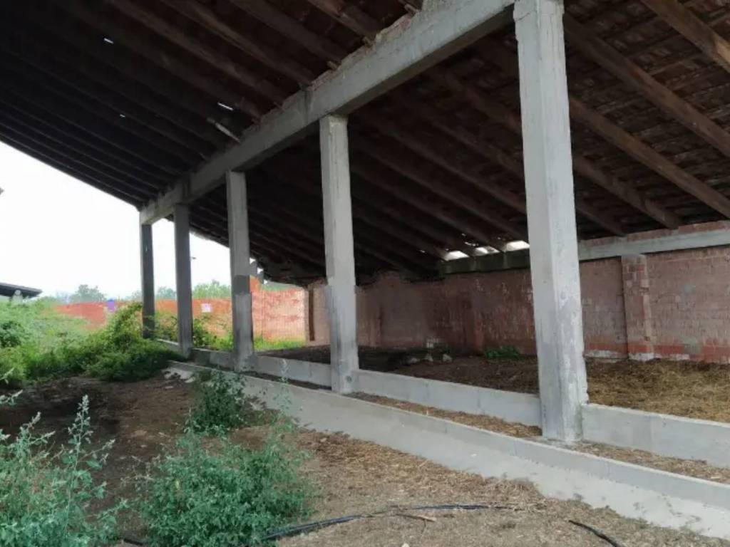 immagine annuncio 3 di 4