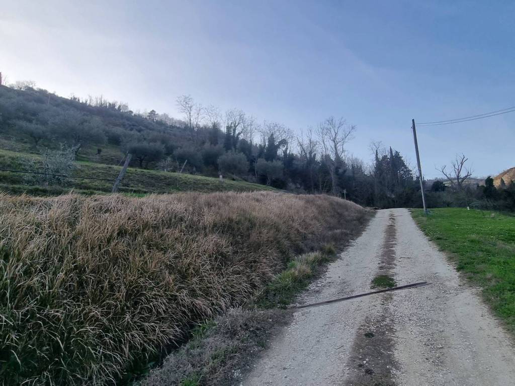 immagine annuncio 3 di 4