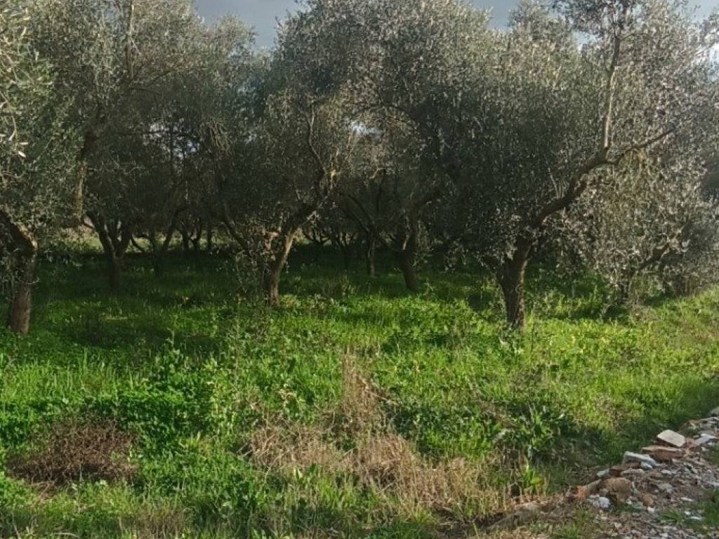 immagine annuncio 3 di 4