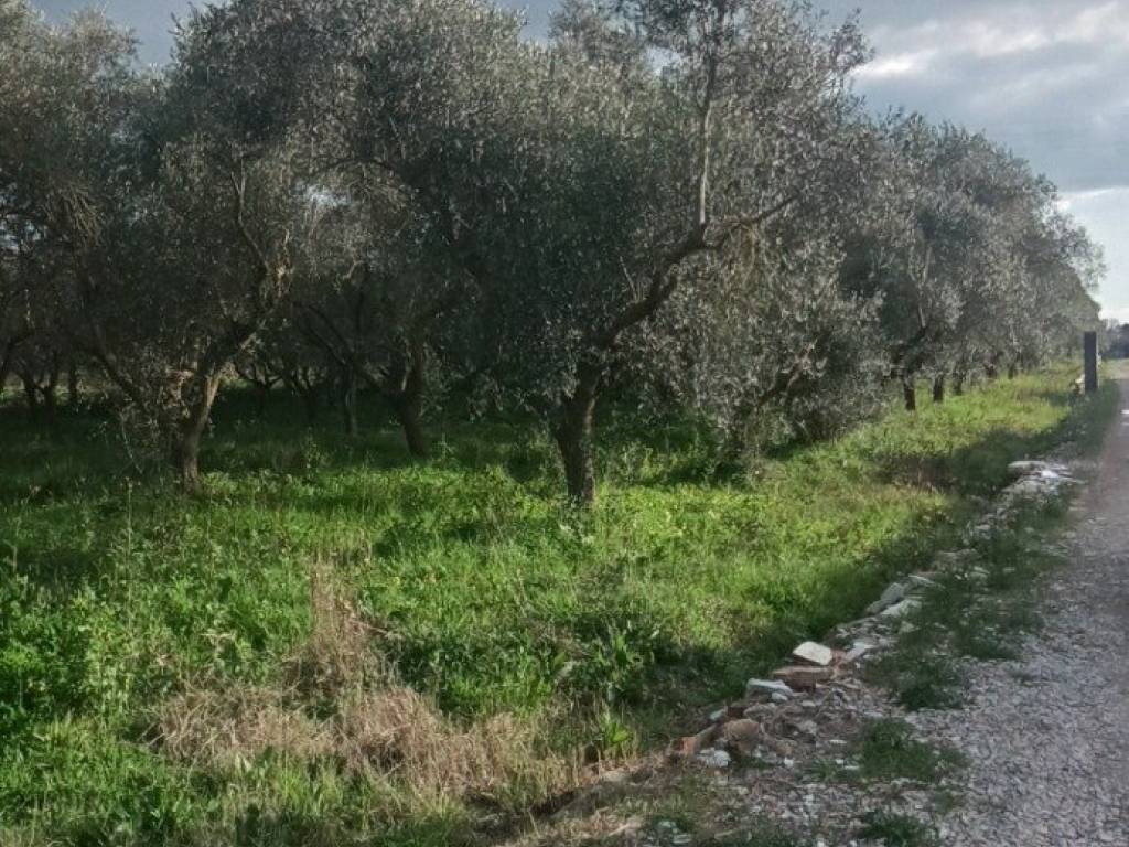immagine annuncio 1 di 4