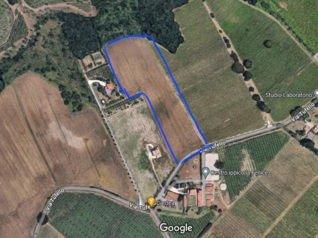 immagine annuncio 1 di 2