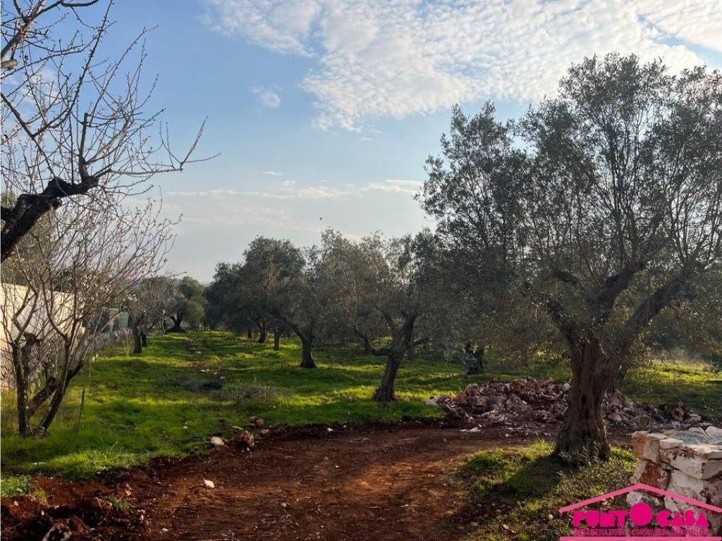 immagine annuncio 2 di 4