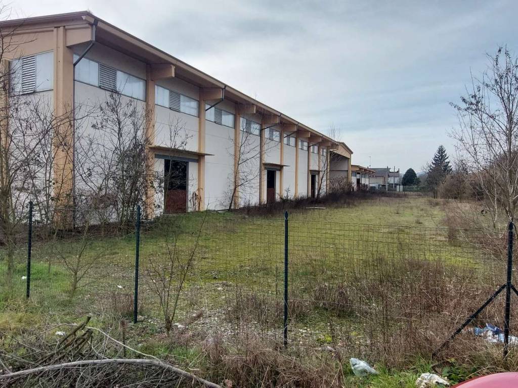 immagine annuncio 1 di 5