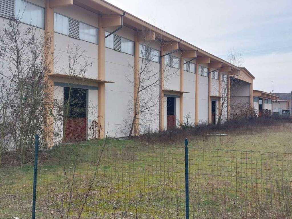 immagine annuncio 2 di 5