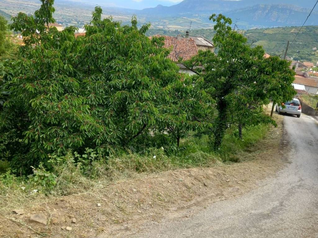 immagine annuncio 2 di 4