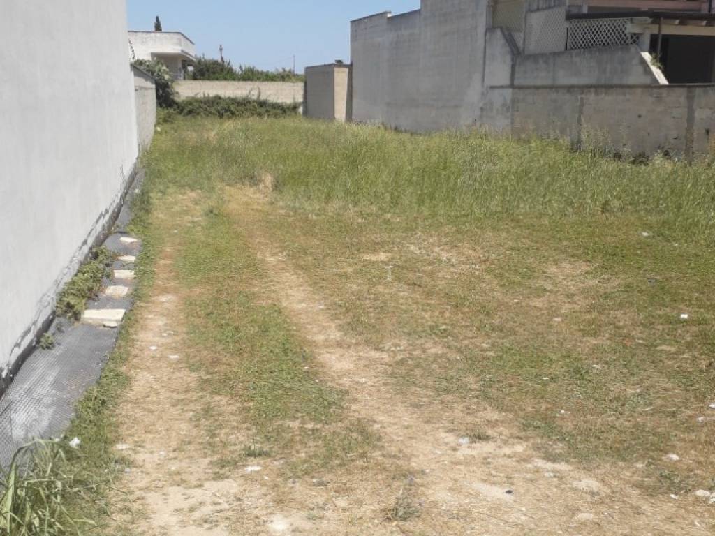 immagine annuncio 1 di 4