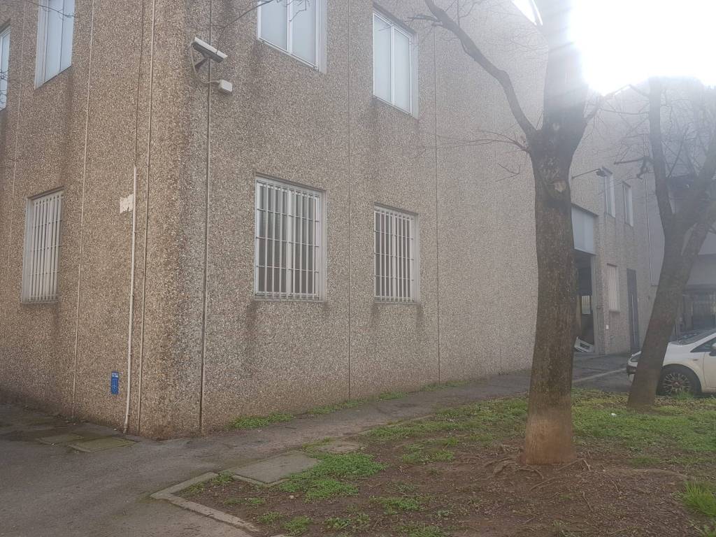 immagine annuncio 4 di 5