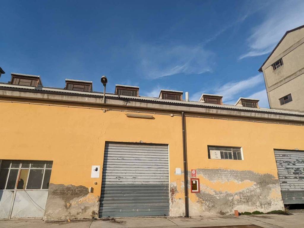 immagine annuncio 2 di 5