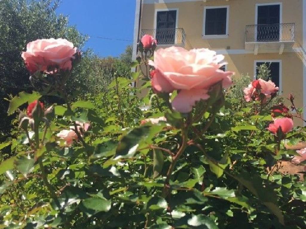 immagine annuncio 1 di 4