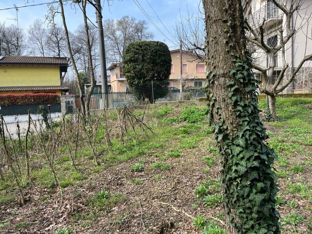 immagine annuncio 4 di 5