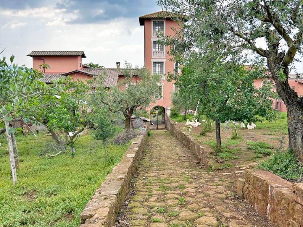 immagine annuncio 3 di 4