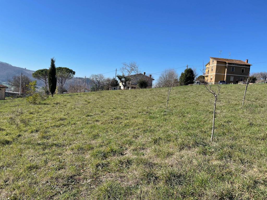 immagine annuncio 2 di 3