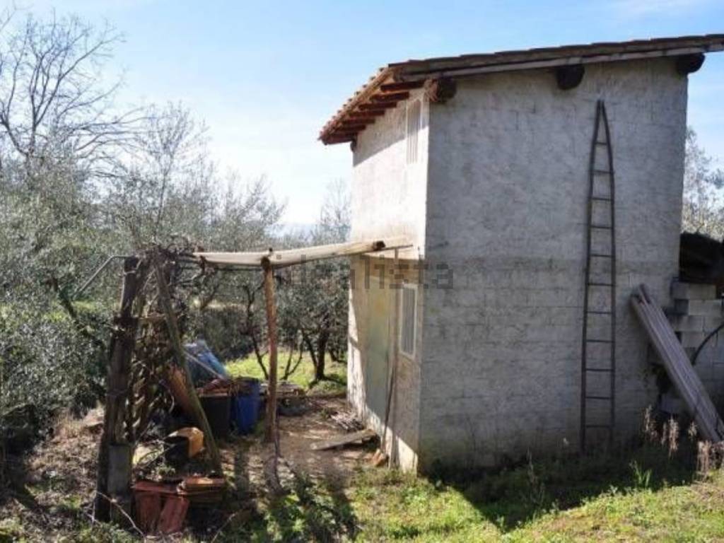 immagine annuncio 1 di 4