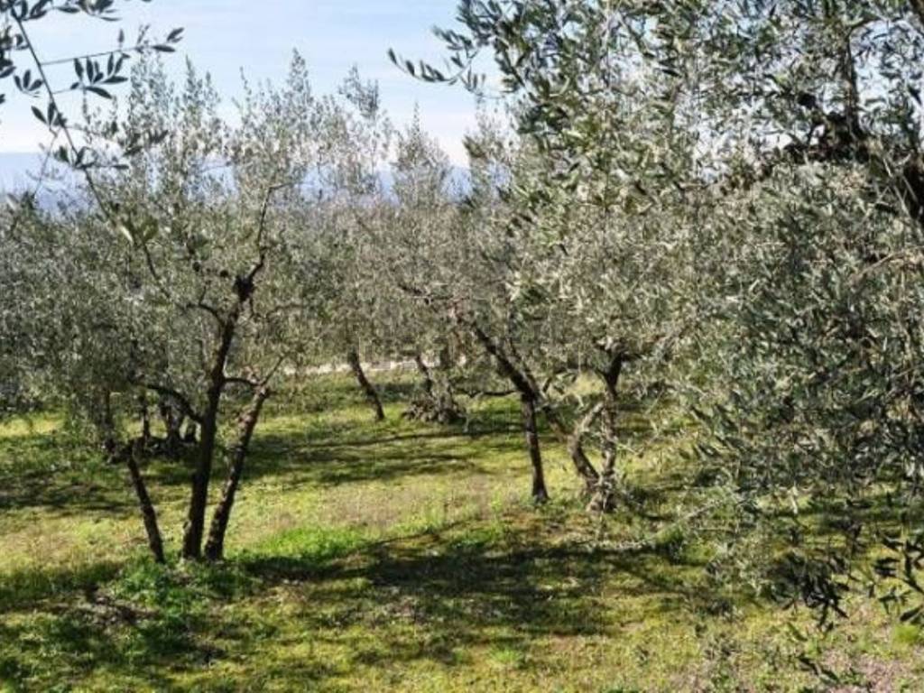 immagine annuncio 3 di 4