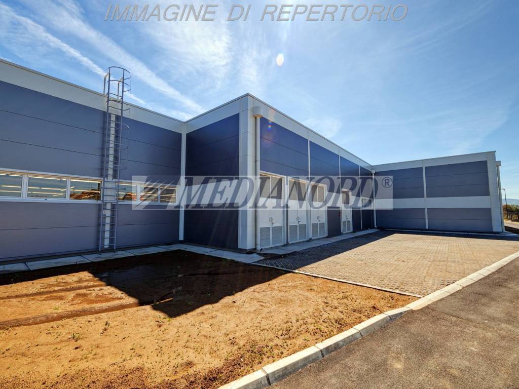 immagine annuncio 3 di 5