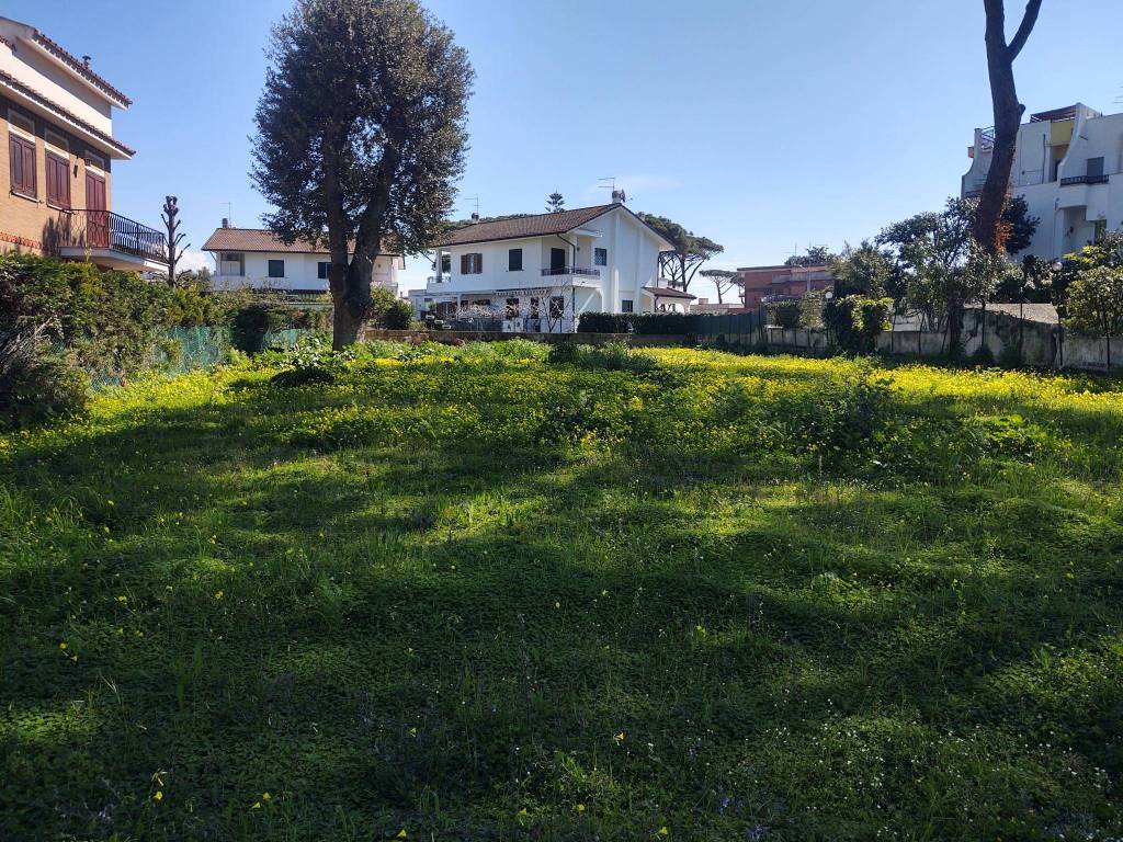 immagine annuncio 1 di 2