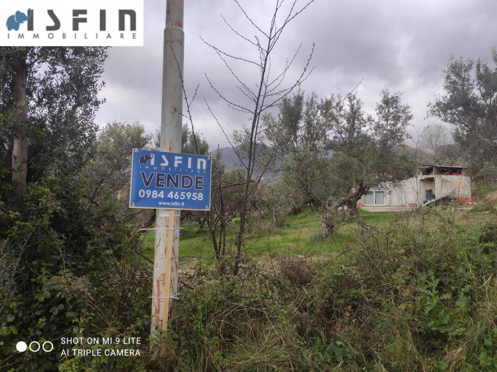 immagine annuncio 1 di 3