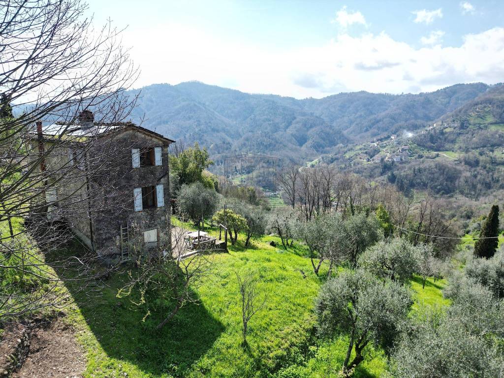 casa indipendente in vendita a Borgo a Mozzano in zona Valdottavo