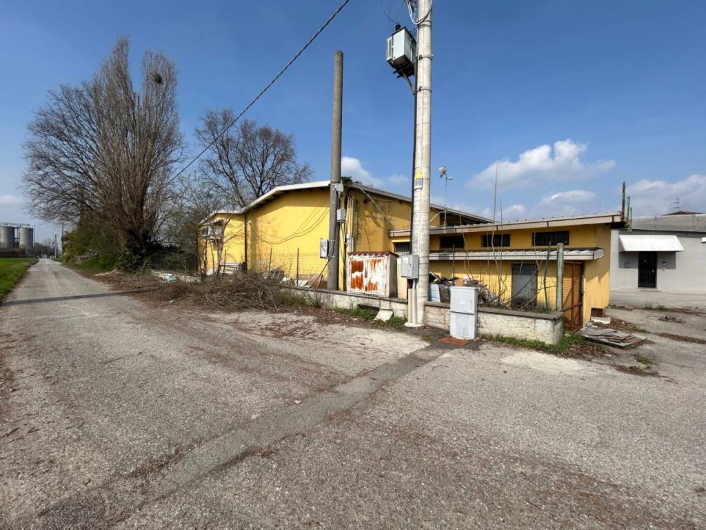 immagine annuncio 2 di 5