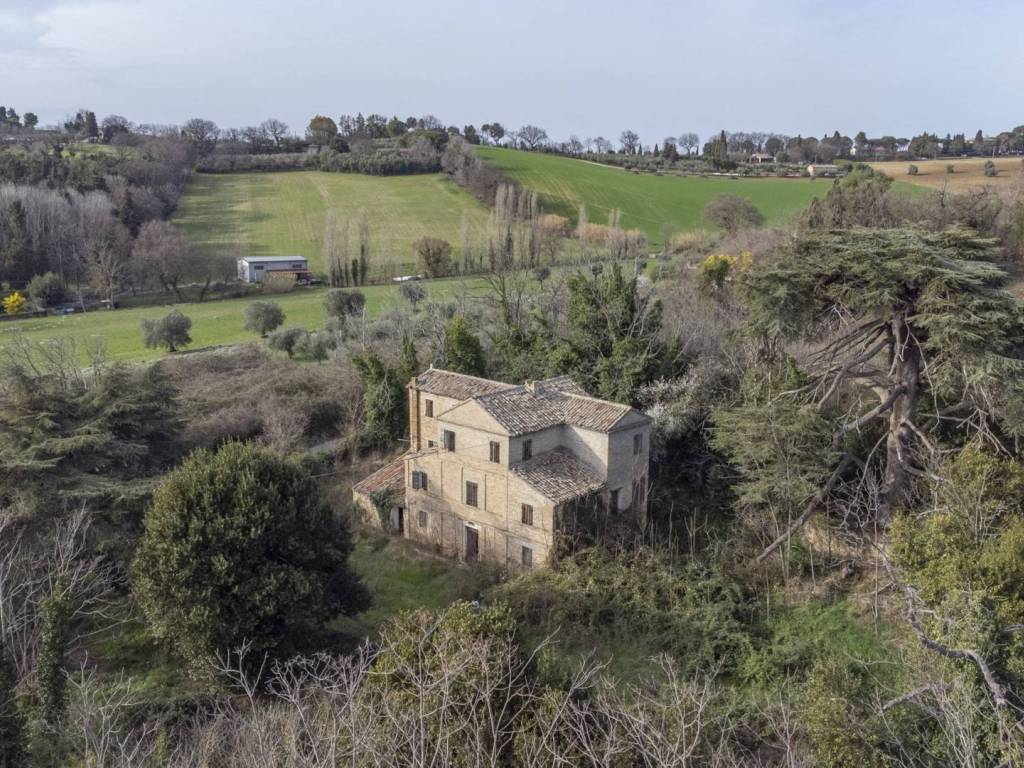 immagine annuncio 2 di 4