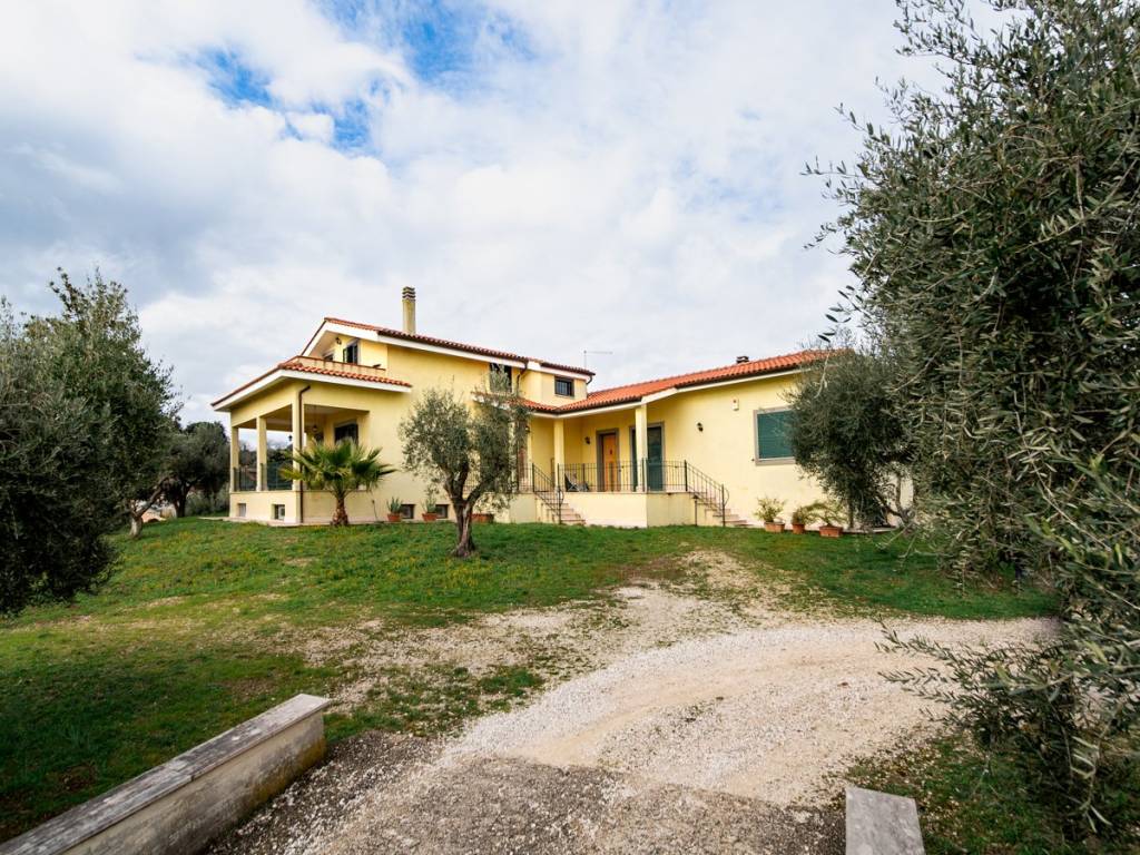 immagine annuncio 1 di 5