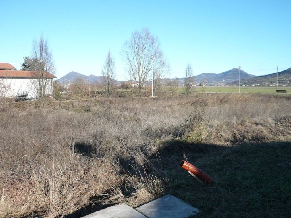 immagine annuncio 1 di 4