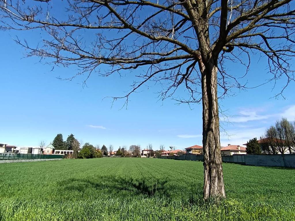 immagine annuncio 1 di 3